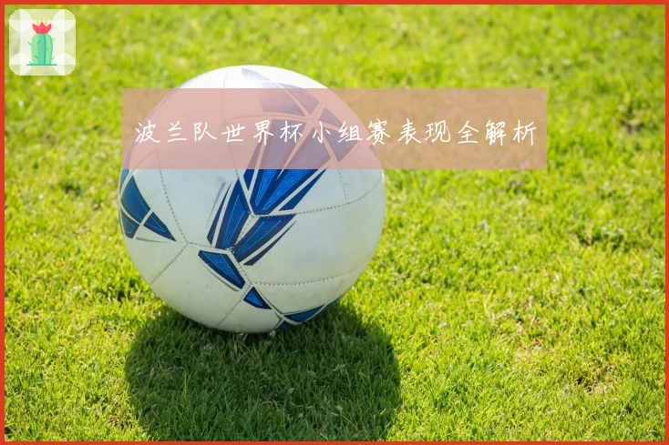波兰队世界杯小组赛表现全解析