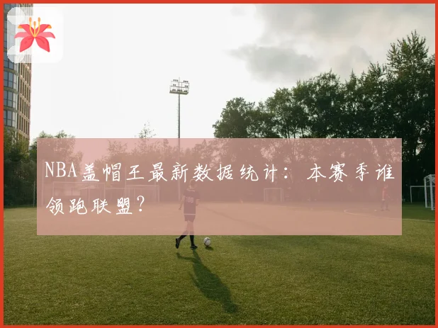 NBA盖帽王最新数据统计：本赛季谁领跑联盟？