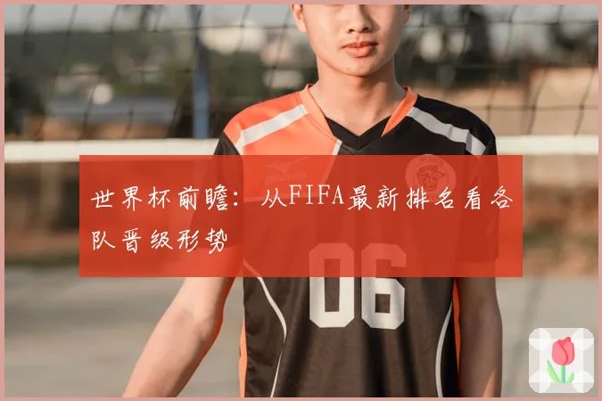 世界杯前瞻：从FIFA最新排名看各队晋级形势
