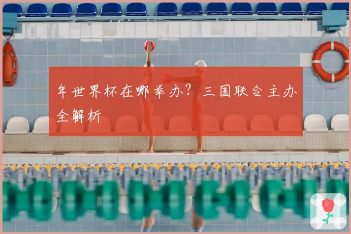 年世界杯在哪举办?三国联合主办全解析