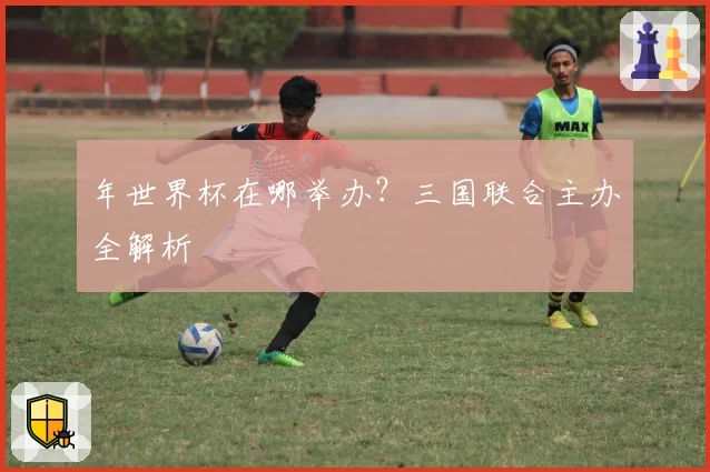 年世界杯在哪举办?三国联合主办全解析
